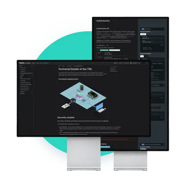 Computer monitors with fiskaly developer page on them